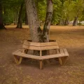 banc entourage d'abre en bois